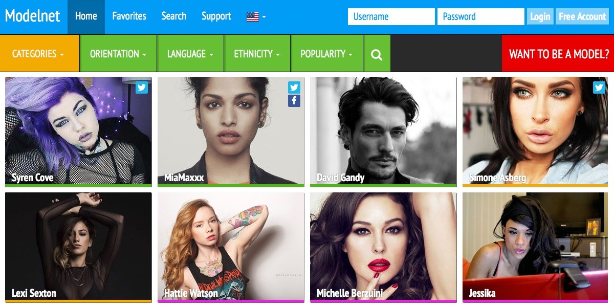 Webcam Chat Script Webvideo - Start Your Own Video Chat Site