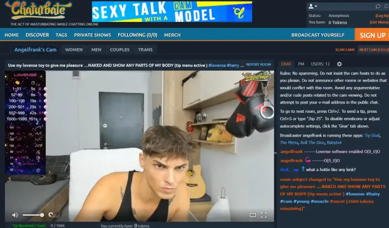 male cam model