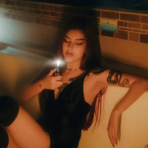 how much does a webcam model make